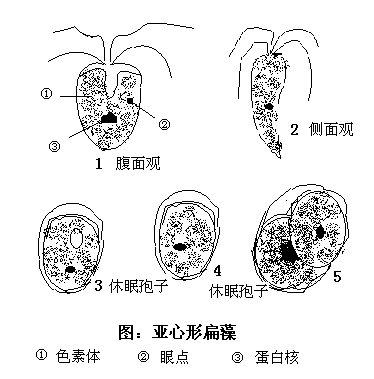 ϸ֮--