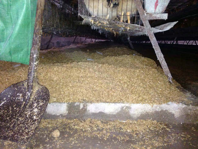 图片点击可在新窗口打开查看