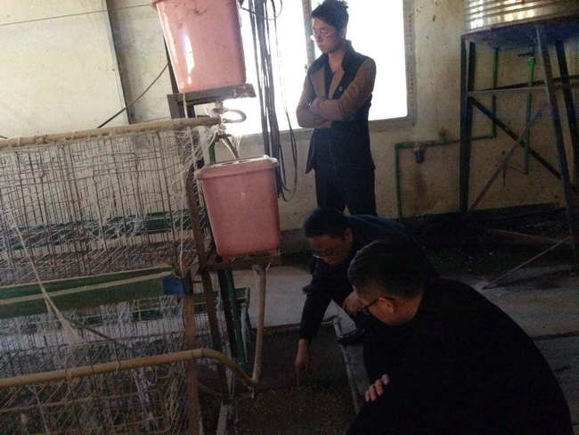 图片点击可在新窗口打开查看
