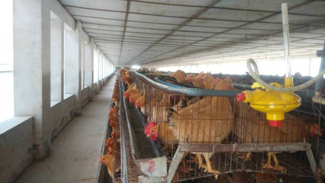 图片点击可在新窗口打开查看
