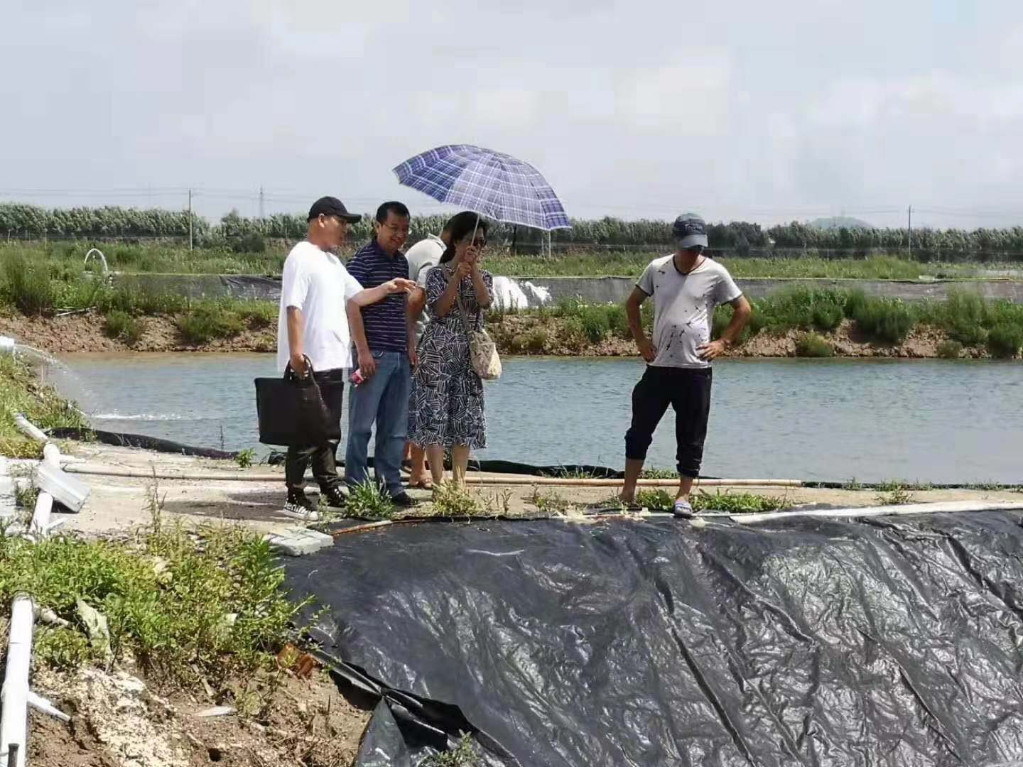 图片点击可在新窗口打开查看