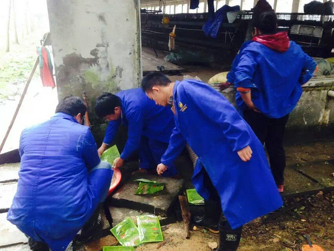 图片点击可在新窗口打开查看